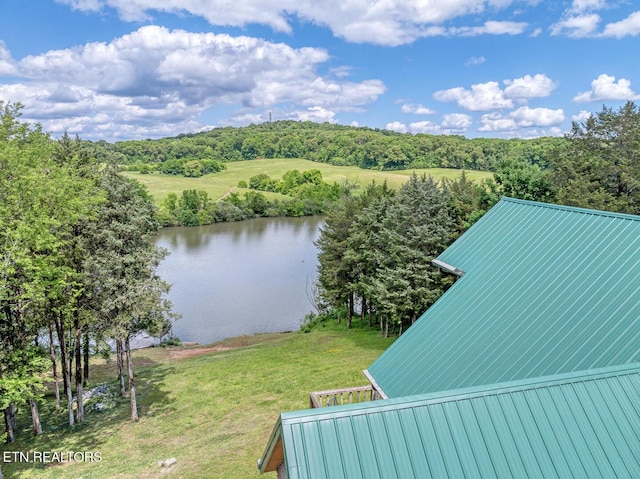 3560 Old Lowes Ferry Rd, Louisville, TN 37777 - photo 32