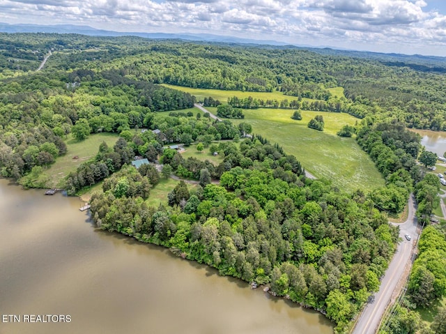 3560 Old Lowes Ferry Rd, Louisville, TN 37777 - photo 45