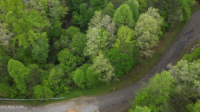LOT56 Glade Pl, Monterey, TN 38574 - photo 3