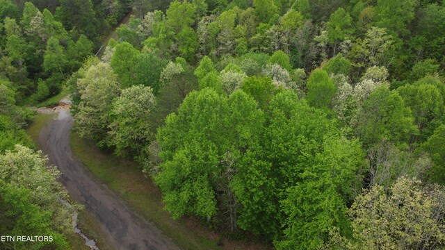 LOT56 Glade Pl, Monterey, TN 38574 - photo 5