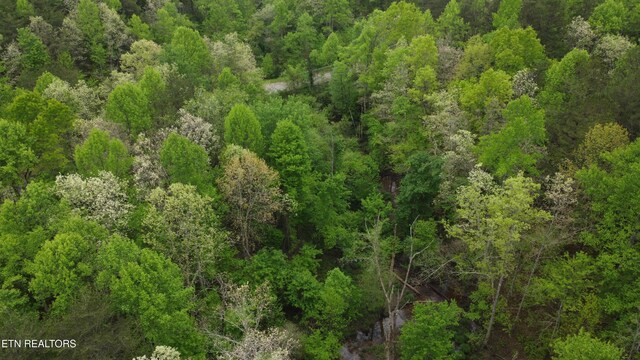 LOT56 Glade Pl, Monterey, TN 38574 - photo 7