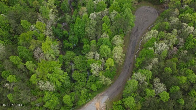 LOT56 Glade Pl, Monterey, TN 38574 - photo 9