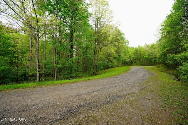 LOT56 Glade Pl, Monterey, TN 38574 - photo 11