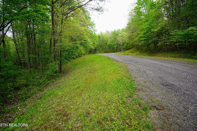 LOT56 Glade Pl, Monterey, TN 38574 - photo 12