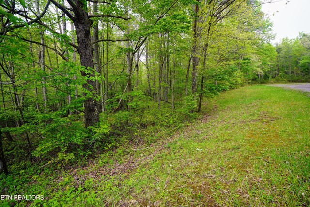LOT56 Glade Pl, Monterey, TN 38574 - photo 13