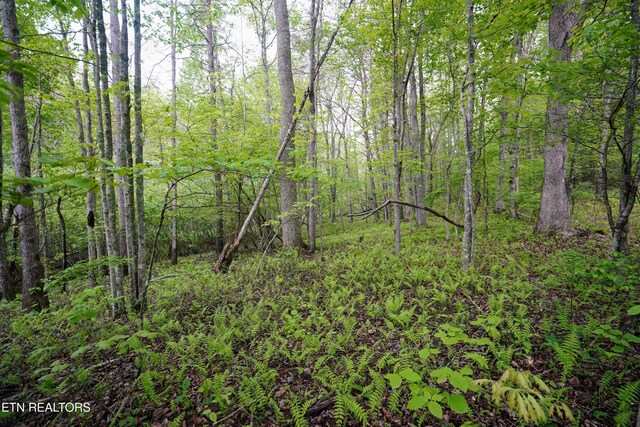 LOT56 Glade Pl, Monterey, TN 38574 - photo 14