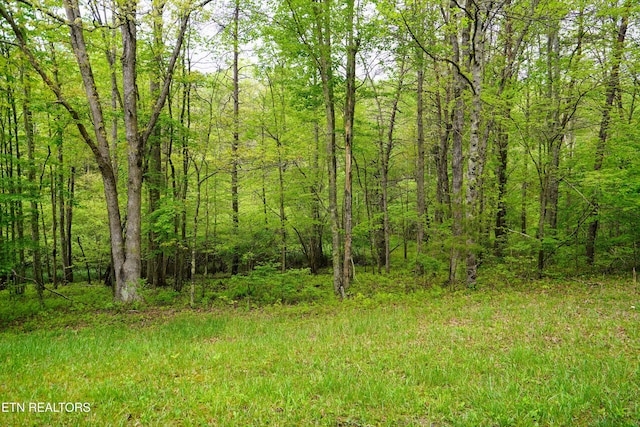 LOT56 Glade Pl, Monterey, TN 38574 - photo 1