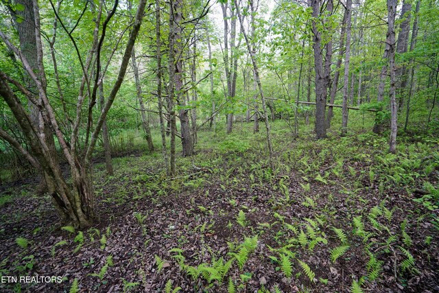 LOT56 Glade Pl, Monterey, TN 38574 - photo 16