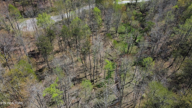 LOT56 Glade Pl, Monterey, TN 38574 - photo 21