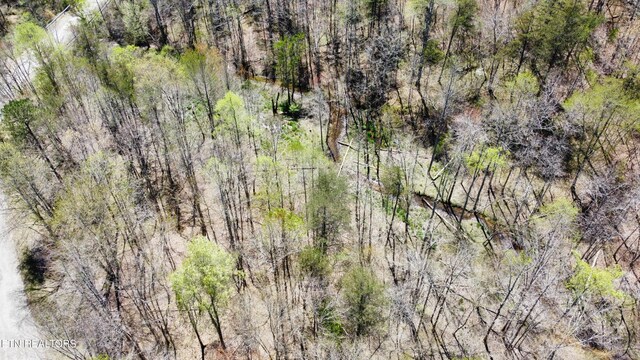 LOT56 Glade Pl, Monterey, TN 38574 - photo 22