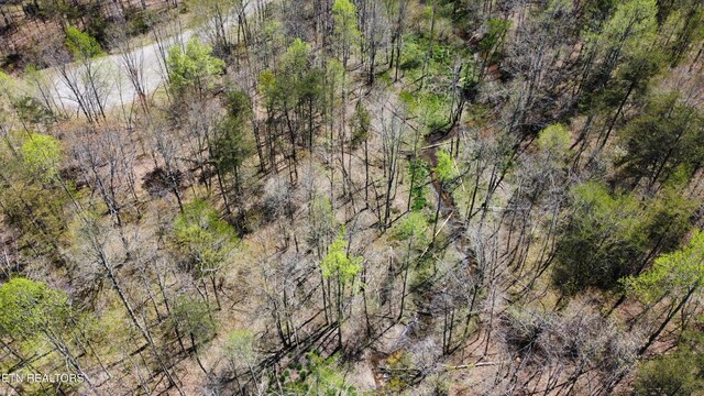LOT56 Glade Pl, Monterey, TN 38574 - photo 26