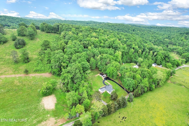 12408 N Nopone Valley Rd, Decatur, TN 37322