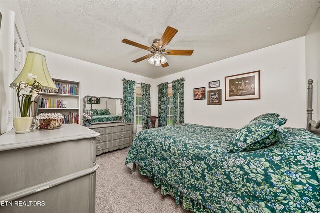 131 Chickasaw Dr, Crossville, TN 38572 - photo 36