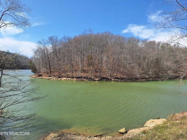13136 George Lovelace Ln, Knoxville, TN 37932
