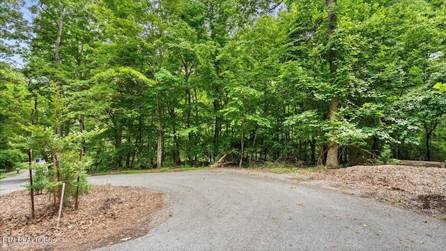 13136 George Lovelace Ln, Knoxville, TN 37932