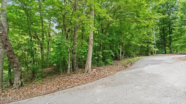 13136 George Lovelace Ln, Knoxville, TN 37932