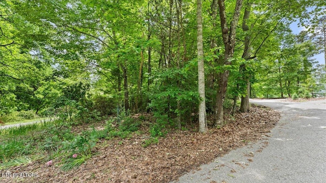 13136 George Lovelace Ln, Knoxville, TN 37932