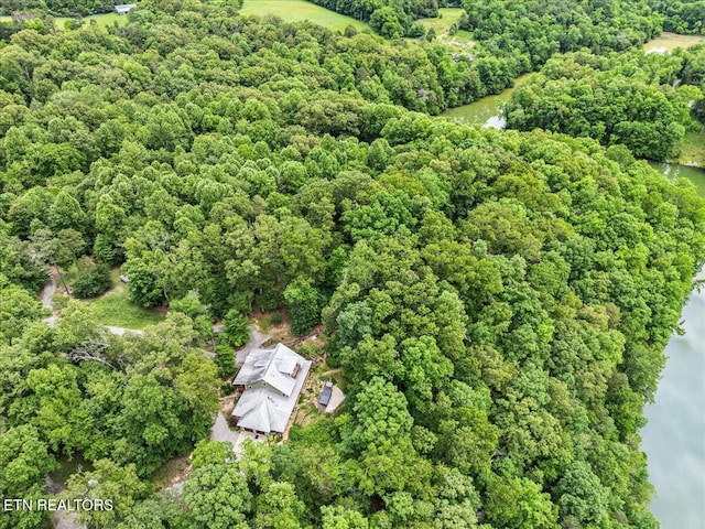 13136 George Lovelace Ln, Knoxville, TN 37932