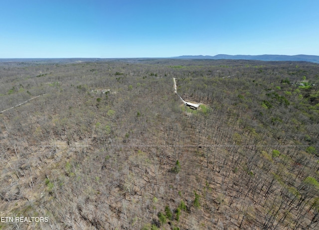 Ridge Rd W, Pikeville, TN 37367 - photo 3