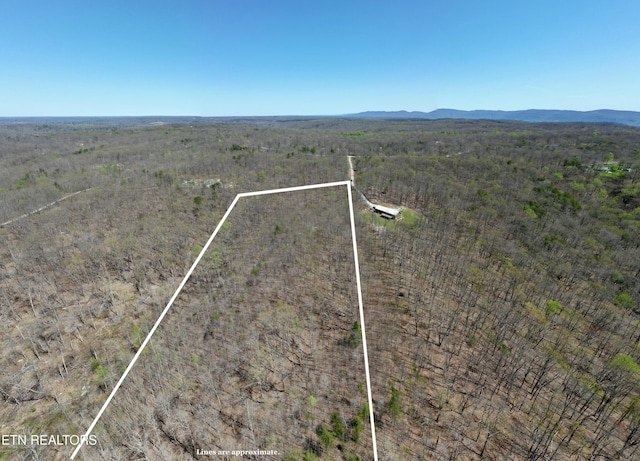 Ridge Rd W, Pikeville, TN 37367 - photo 2