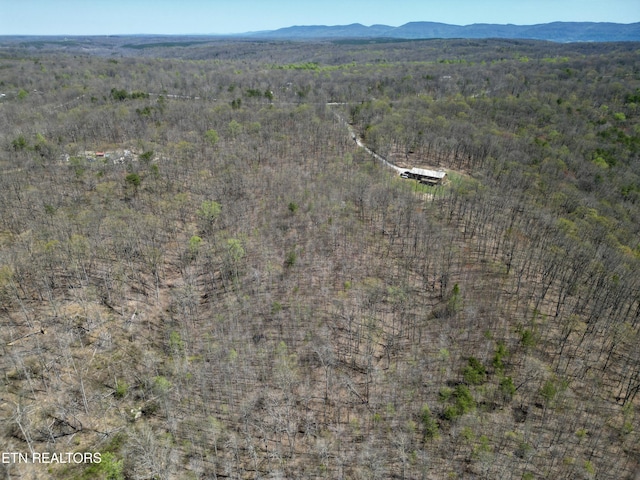 Ridge Rd W, Pikeville, TN 37367 - photo 4