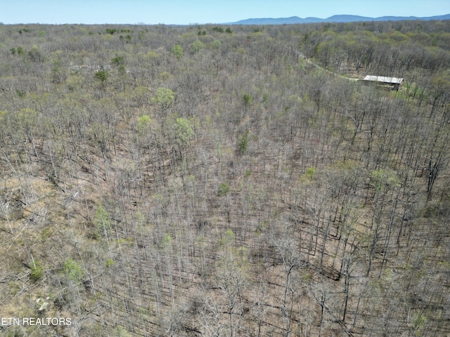 Ridge Rd W, Pikeville, TN 37367 - photo 6