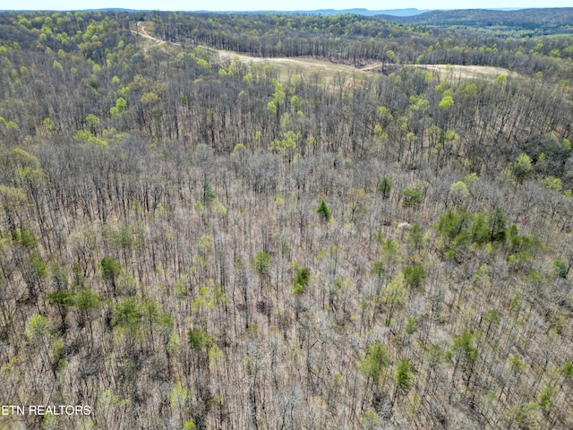 Ridge Rd W, Pikeville, TN 37367 - photo 8