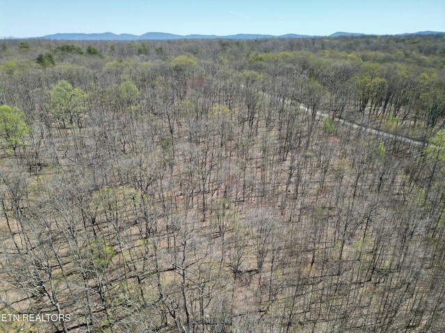 Ridge Rd W, Pikeville, TN 37367 - photo 9