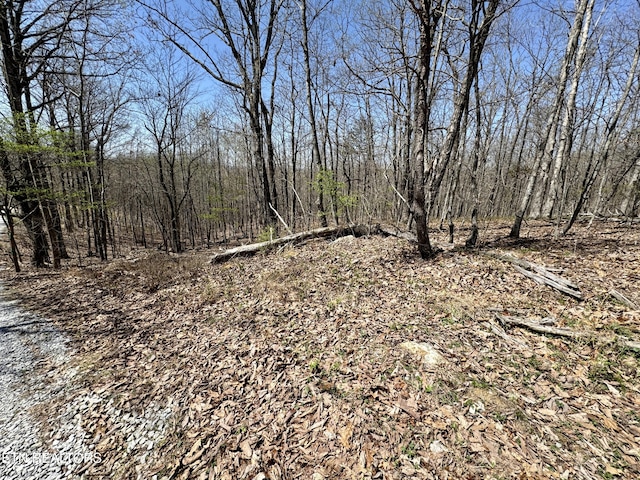 Ridge Rd W, Pikeville, TN 37367 - photo 10