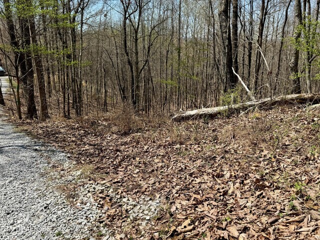 Ridge Rd W, Pikeville, TN 37367 - photo 11