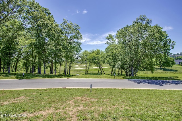 3235 Chestnut Ln, Loudon, TN 37774