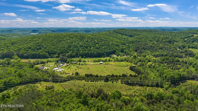 776 Salem Valley Rd, Ten Mile, TN 37880 - drone / aerial view of a forest