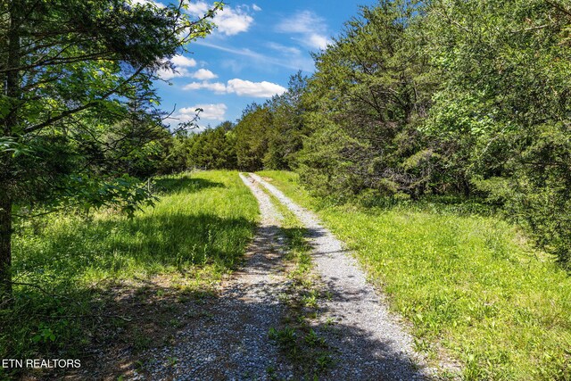 776 Salem Valley Rd, Ten Mile, TN 37880 - view of dirt / gravel road featuring a view of trees