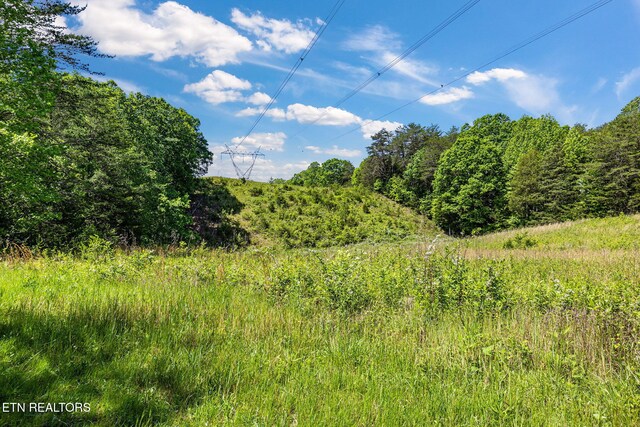 776 Salem Valley Rd, Ten Mile, TN 37880 - view of nature