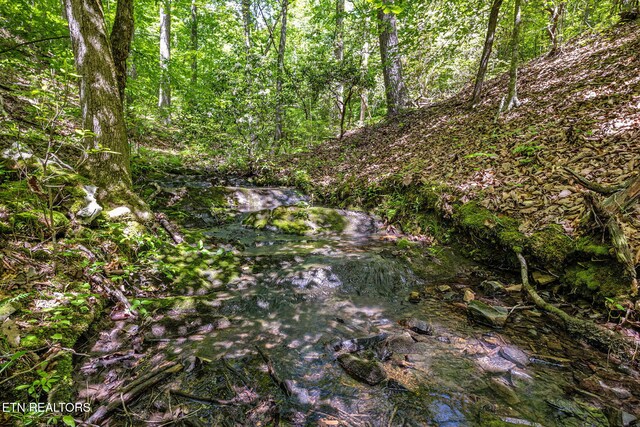 776 Salem Valley Rd, Ten Mile, TN 37880 - view of wooded area