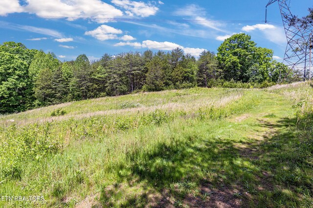 776 Salem Valley Rd, Ten Mile, TN 37880 - view of local wilderness