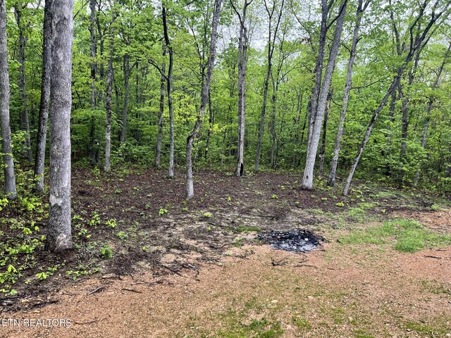 153 Killary Rd, Crossville, TN 38572
