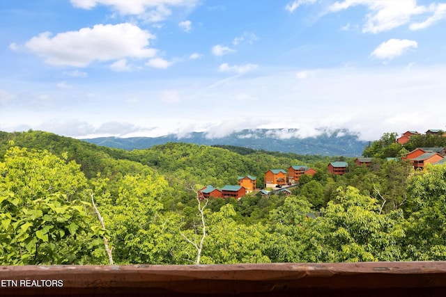 3336 Lonesome Pine Way, Sevierville, TN 37862