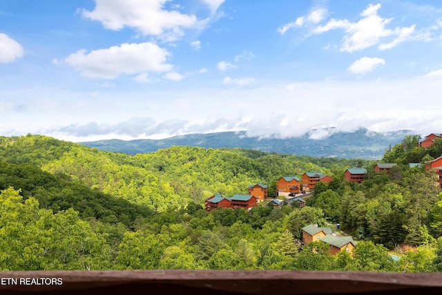 3336 Lonesome Pine Way, Sevierville, TN 37862
