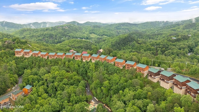 3336 Lonesome Pine Way, Sevierville, TN 37862