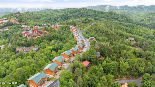3336 Lonesome Pine Way, Sevierville, TN 37862