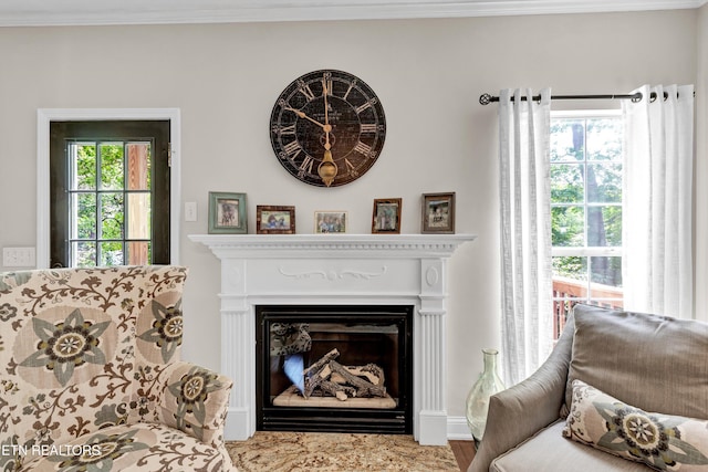 714 Cambridge Crest Ln, Knoxville, TN 37919 - living area with crown molding, a fireplace, and wood finished floors