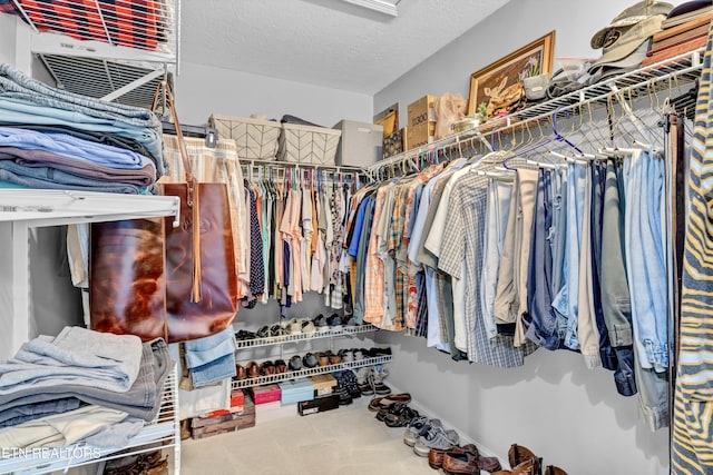 714 Cambridge Crest Ln, Knoxville, TN 37919 - view of spacious closet