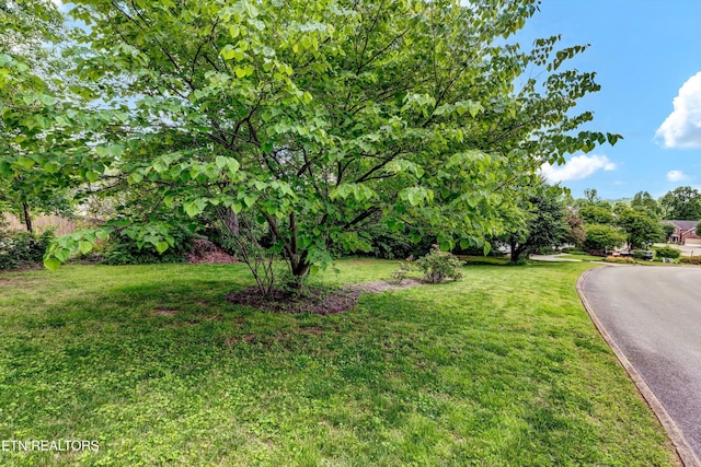 714 Cambridge Crest Ln, Knoxville, TN 37919 - view of grassy yard