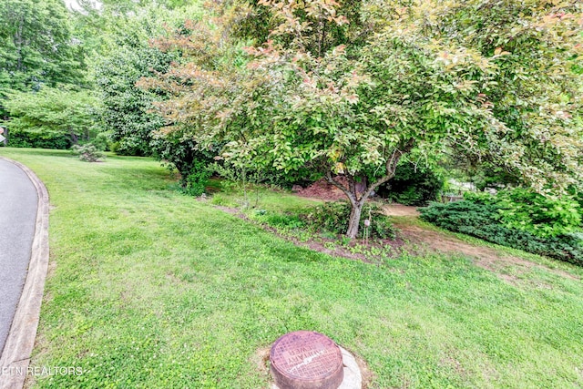 714 Cambridge Crest Ln, Knoxville, TN 37919 - view of green lawn