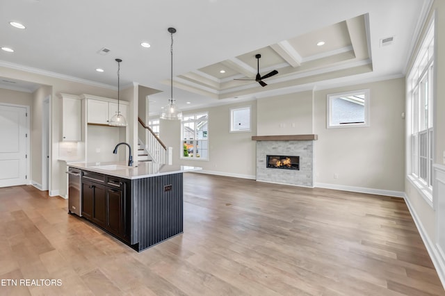1123 Branch Hook Rd, Knoxville, TN 37934 - kitchen with a ceiling fan, light countertops, a sink, crown molding, and a fireplace