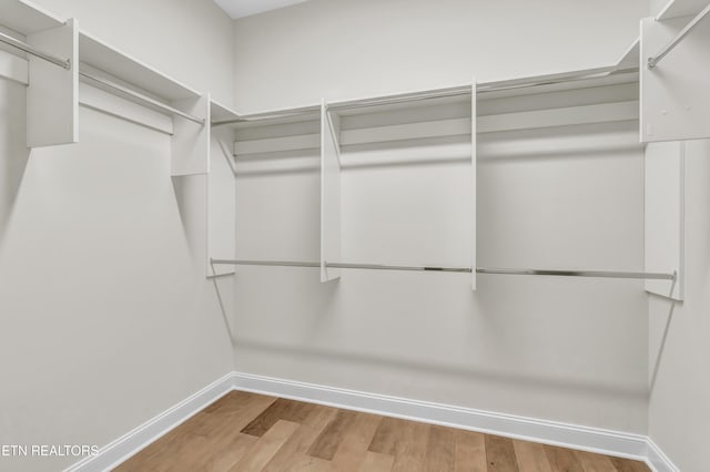 1123 Branch Hook Rd, Knoxville, TN 37934 - spacious closet featuring wood finished floors