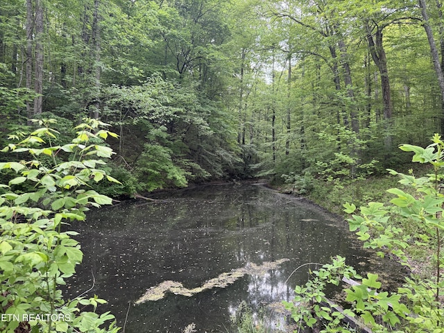 3441 Glendale Rd, Bybee, TN 37713 - view of wooded area
