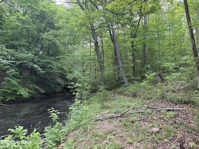 3441 Glendale Rd, Bybee, TN 37713 - view of wooded area