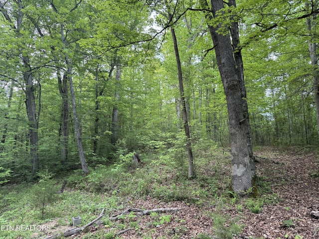 3441 Glendale Rd, Bybee, TN 37713 - view of woods